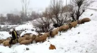 Bayburt'un yüksek kesimlerine kar yağdı