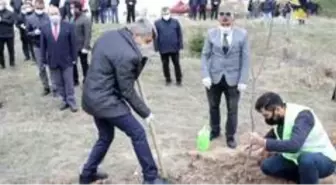 DPÜ'de 2 bin 53 fidan Hatay için toprakla buluştu