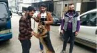 Köpeği çaldığı sanılıyordu; aracıyla çarpınca veterinere götürmüş