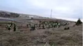 Hatay'a destek için fidan dikildi