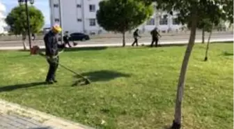 Didim'de parkların bakımı devam ediyor