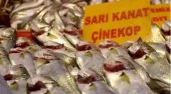 Taze çinekop tezgahta