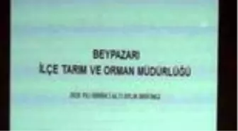 Beypazarı'nda 180 çiftçiye yem tohumu dağıtıldı