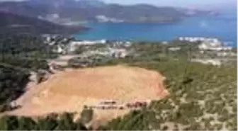 11 Kasım Milli Ağaçlandırma Günü