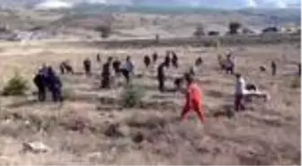 11 Kasım Milli Ağaçlandırma Günü