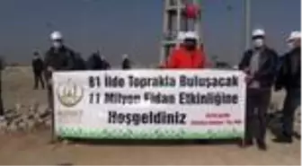 11 Kasım Milli ağaçlandırma Günü