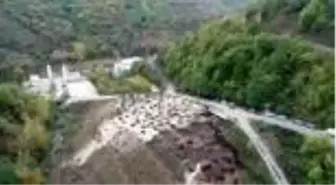 11 Kasım Milli Ağaçlandırma Günü