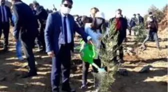 Geleceğe nefes için binlerce fidan toprakla buluştu