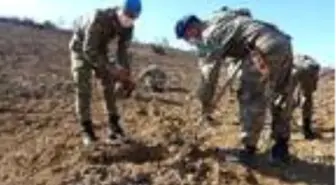 Aydın'da 10 bin fidan toprakla buluşturuldu
