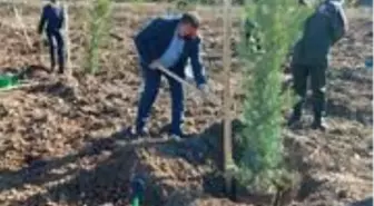 Ayvacık'ta yüzlerce fidan toprakla buluştu