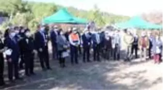 Batı Karadeniz ve Doğu Marmara'da 'Milli Ağaçlandırma Günü' etkinlikleri düzenlendi
