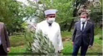 Beyoğlu'ndan tüm İstanbul'a yayılan 'Zeytin Ağacı Dikme' kampanyası