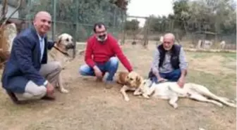 Datça'da can dostlara anlamlı bağış