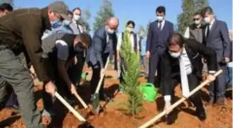 Fethiye'de 'Geleceğe Nefes' olacak fidanlar toprakla buluştu