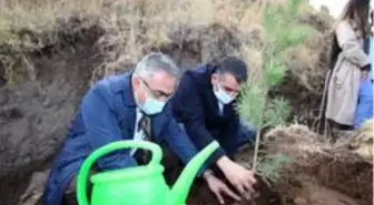 Son dakika haberi | Hacılar'da bin 100 fidan toprakla buluştu