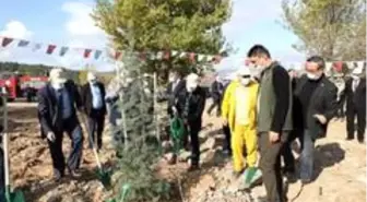 Son dakika haberleri! İnegöl'de 2 bin fidan toprakla buluştu
