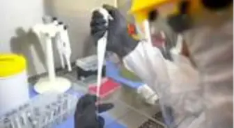 Koronavirüsün genetik kodunda 'gizlenmiş' bir gen açığa çıkarıldı