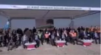 Milli Ağaçlandırma Günü