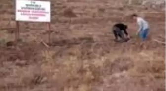 'Milli Ağaçlandırma Günü' etkinliği - Şarkışla - SİVAS