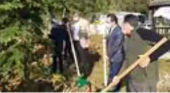 ŞİLE'DE 'GELECEĞE NEFES' ETKİNLİĞİ; FİDANLAR TOPRAKLA BULUŞTU
