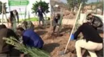 Teröristlerin yaktığı ormanlar yeniden hayat buluyor