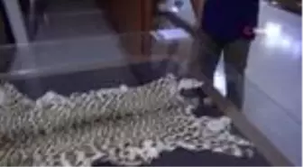 Türkiye'nin canlı ve minarel türleri bu müzede sergileniyor