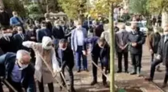 Yürüyüş yolunda 22 Çınar toprakla buluştu