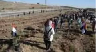 Uluslararası öğrenciler 500 fidanı toprakla buluşturdu