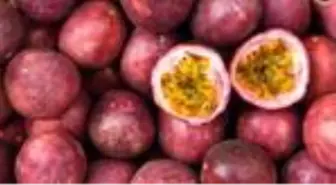 Çarkıfelek meyvesi nedir? 17 Kasım Masterchef tropik meyveler! Çarkıfelek meyvesi faydaları neler?