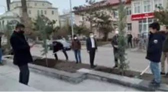 Arpaçay'da Atatürk Parkı ağaçlandırıldı