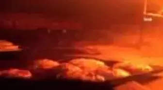 Bu lezzet başka yerde yok, sadece sabahları bulunuyor