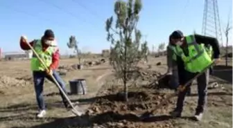 20 bin fidan ve 30 bin süs bitkisi toprakla buluştu