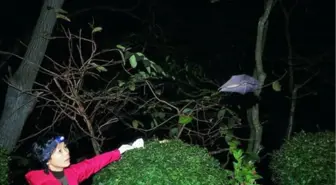 İşte koronavirüsün ilk yarasalardan nasıl insanlara geçtiğinin çıkış noktası