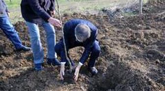 Serdivan'da meyve ağaçları toprakla buluştu