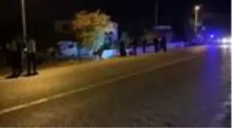 Köpeğe ve bahçe duvarına çarpan otomobilin sürücüsü hayatını kaybetti