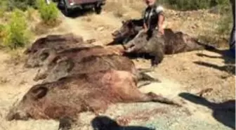 Bölgenin en meşhur avcısı elim bir av kazasında hayatını kaybetti