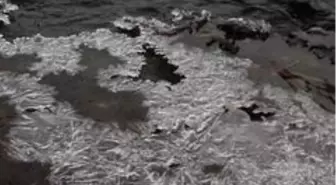 Soğuk havalar nedeniyle dereler donmaya başladı