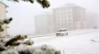 Sarıkamış'ta kar ve sis hayatı olumsuz etkiledi, her yer beyaza büründü