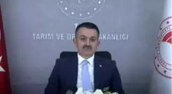 Bakan Pakdemirli: 'Dünyada 820 milyon insan yetersiz besleniyor'