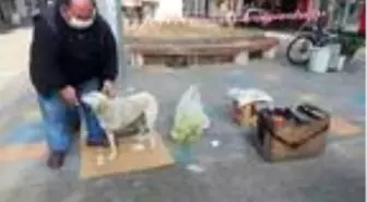 Sahiplendiği engelli köpeği yanından ayırmıyor