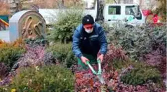 Çankaya Belediyesi Kuğulu Park'ı rengarenk çiçeklerle süsledi