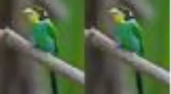 Hızlı ve Öfkeli 7 filmi izle! Hızlı ve Öfkeli 7 konusu ve oyuncuları