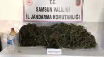 Uyuşturucu operasyonuna 1 tutuklama