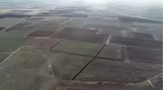 KIRKLARELİ - Trakya'nın verimli topraklarında yeşeren buğdaylar çiftçinin yüzünü güldürüyor