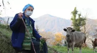 Kısıtlamada, Doğu Karadeniz'de köy ve yaylalara akın