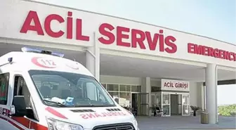 Kışlık odun yakacağı için tarlasında kestirdiği ağacın altında kalan talihsiz kadın, feci şekilde can verdi