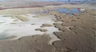 Koruma altına alınan Kuru göl, tamamen kurumadan korunacak