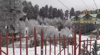 Sarıçam ormanlarında kış güzelliği (2)