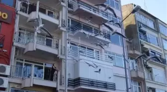 Sokağa çıkma kısıtlamasında martıları balkondan beslediler