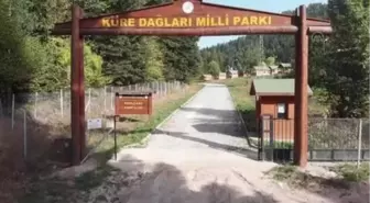 KASTAMONU - Kızılcasu, doğayla baş başa tatil isteyenlerden ilgi gördü